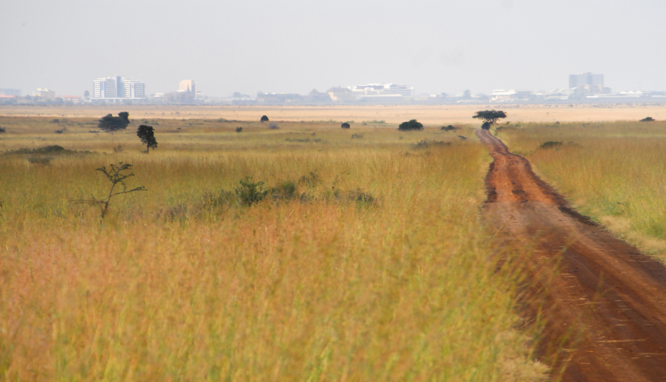 Image for Nairobi National Park