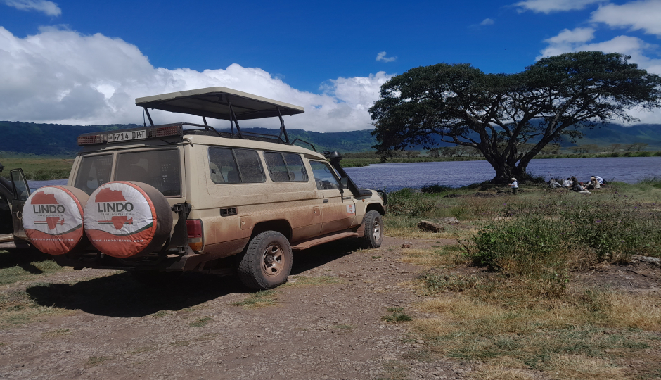 Random image number 6 showcasing tanzania safari image gallery placeholder