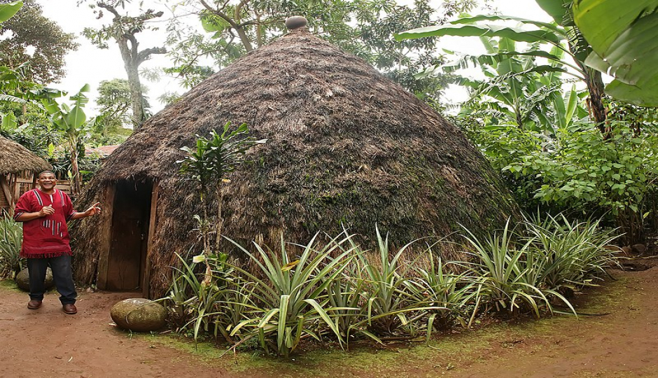 Actual image number 3 for slideshow images, displaying 23 tanzania safari images