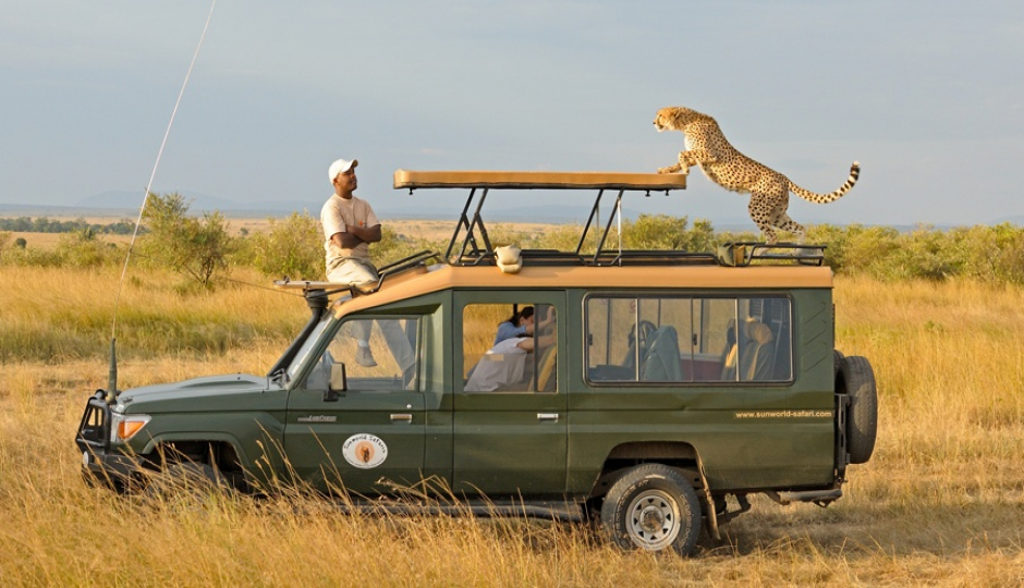 Actual image number 3 for slideshow images, displaying 23 tanzania safari images