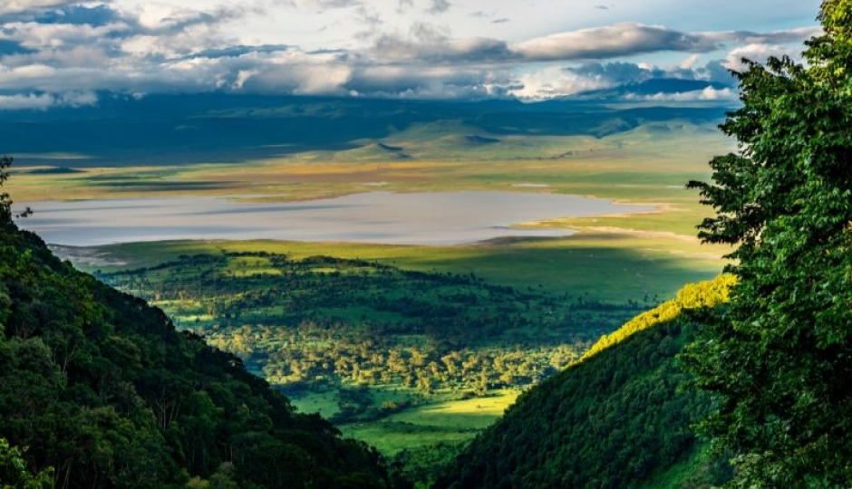 Random image number 1 showcasing tanzania safari image gallery placeholder