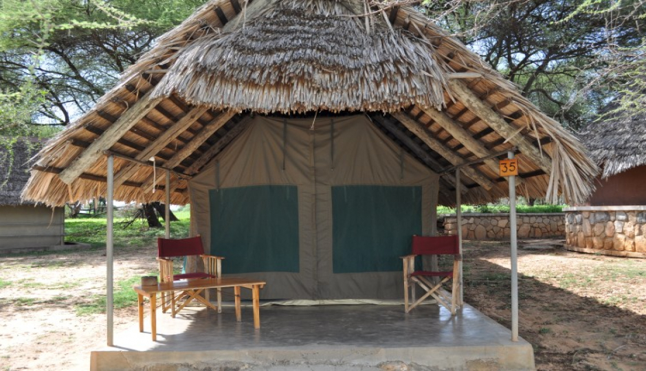 Actual image number 12 for slideshow images, displaying 32 tanzania safari images