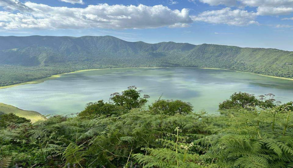Actual image number 4 for slideshow images, displaying 24 tanzania safari images