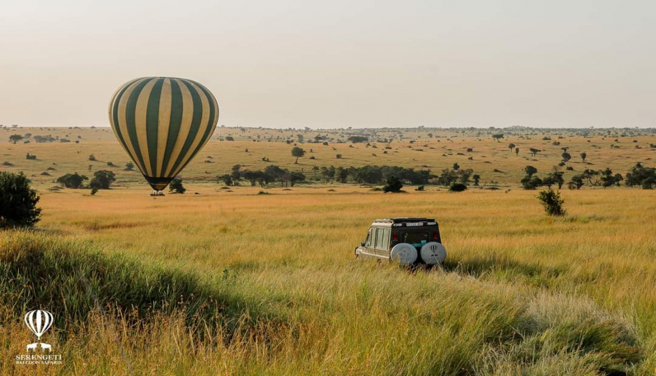Actual image number 19 for slideshow images, displaying 39 tanzania safari images