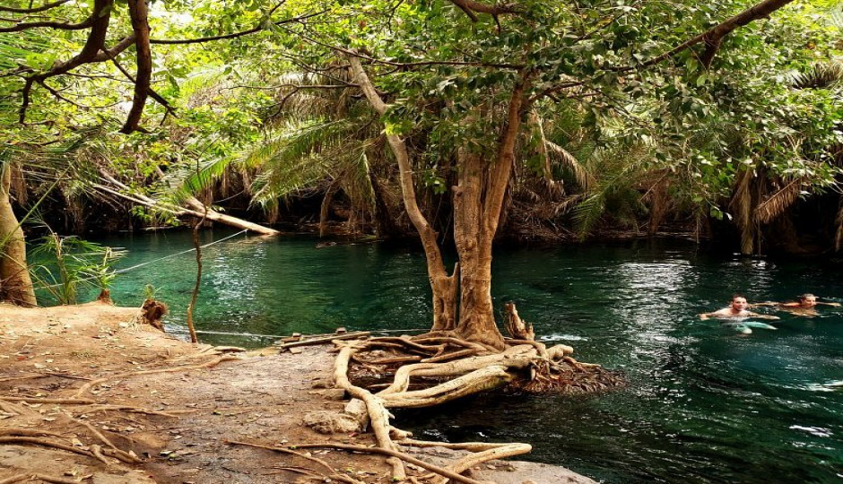 Random image number 6 showcasing tanzania safari image gallery placeholder