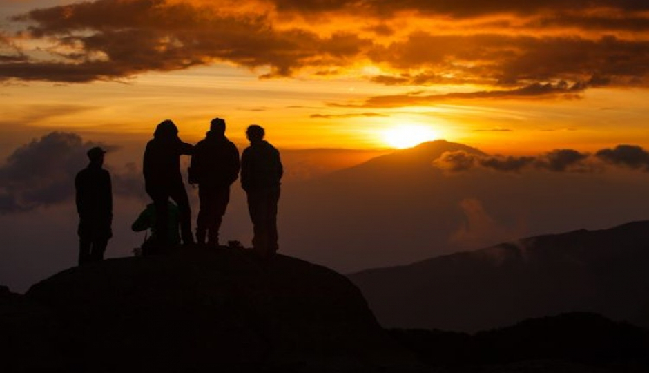Random image number 1 showcasing tanzania safari image gallery placeholder