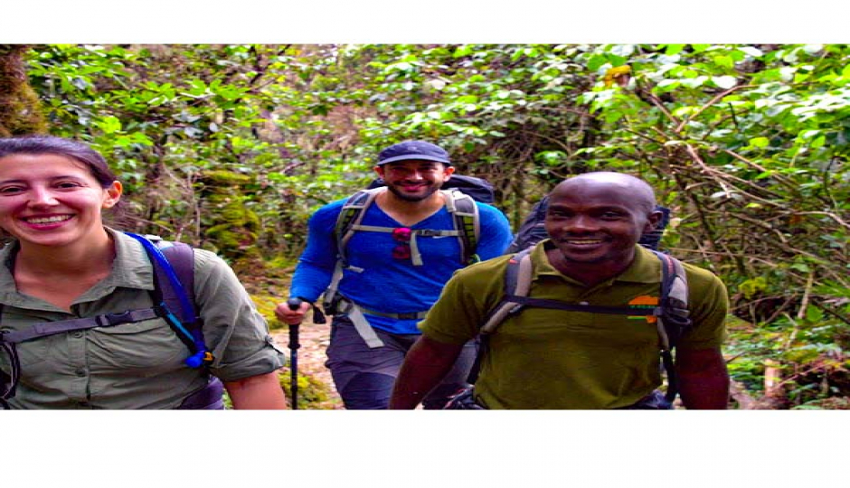 Random image number 5 showcasing tanzania safari image gallery placeholder