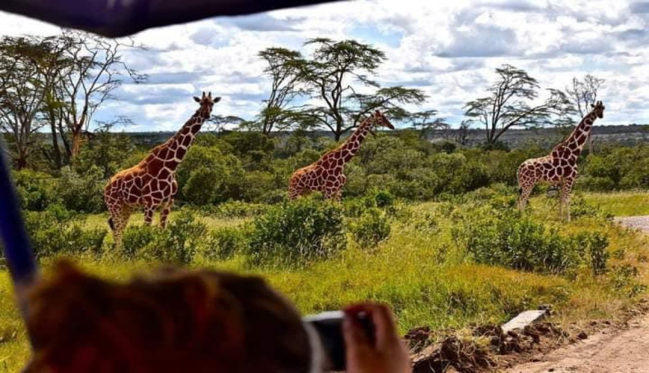 Actual image number 8 for slideshow images, displaying 28 tanzania safari images