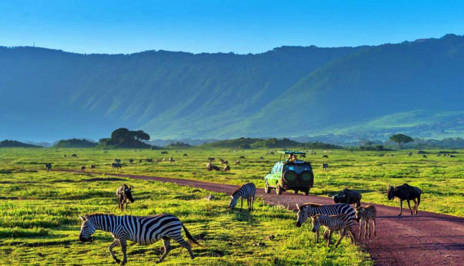 Random image number 2 showcasing tanzania safari image gallery placeholder