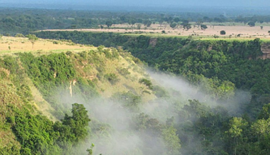 Actual image number 4 for slideshow images, displaying 24 tanzania safari images