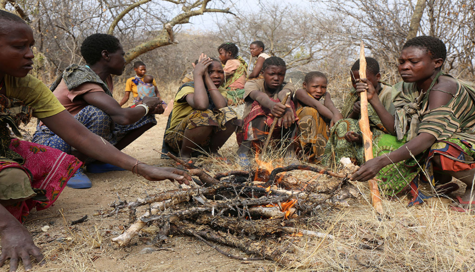 Actual image number 2 for slideshow images, displaying 22 tanzania safari images