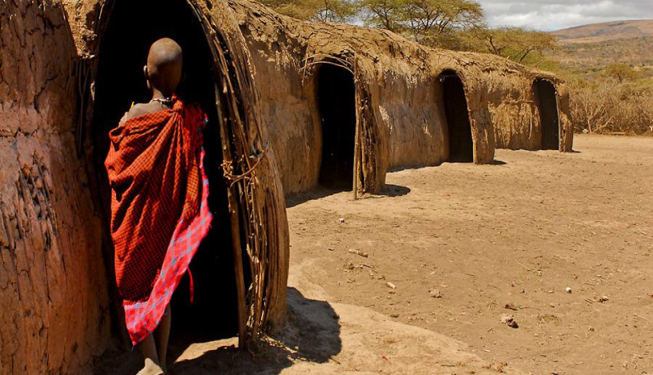 Random image number 6 showcasing tanzania safari image gallery placeholder