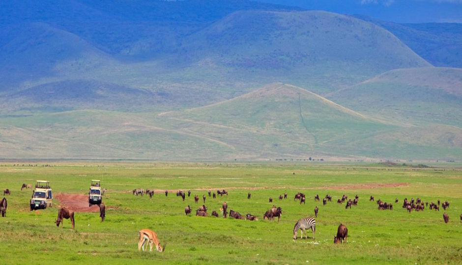 Actual image number 12 for slideshow images, displaying 32 tanzania safari images