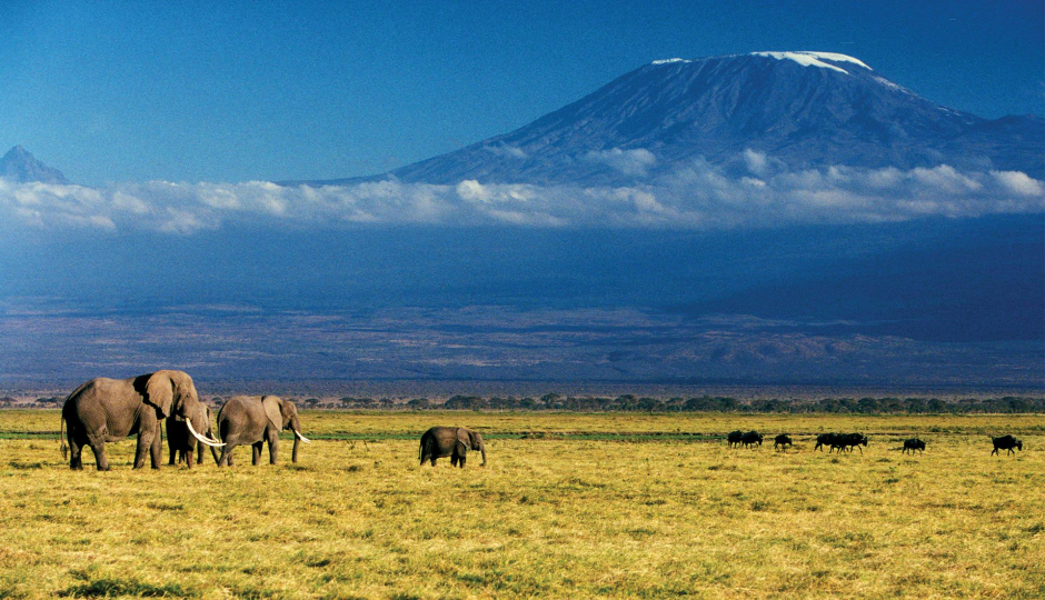 Actual image number 12 for slideshow images, displaying 32 tanzania safari images