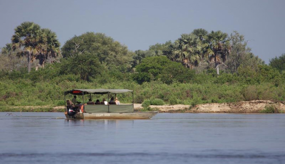 Actual image number 14 for slideshow images, displaying 34 tanzania safari images