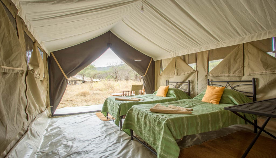 Actual image number 18 for slideshow images, displaying 38 tanzania safari images