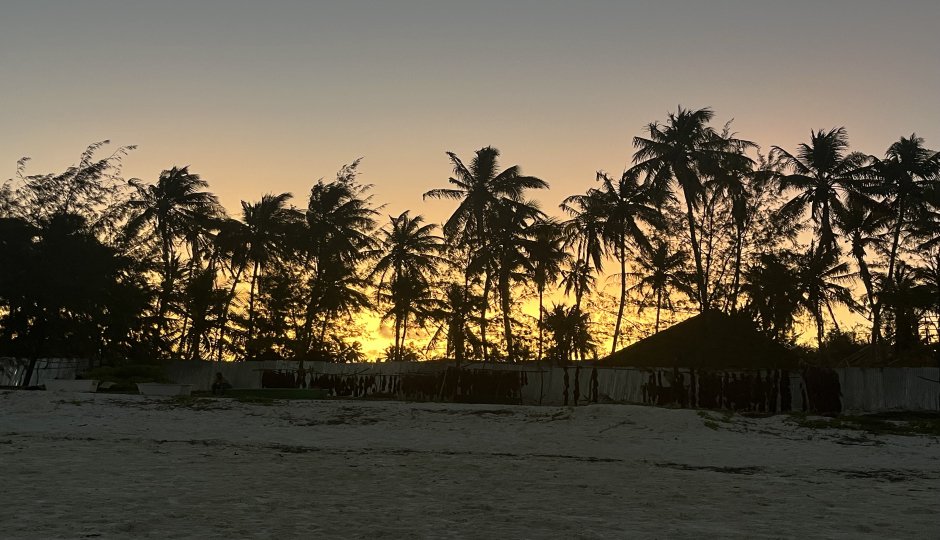 Thumb Nail Image: 3 How to find Things & Places to Visit in Zanzibar Island
