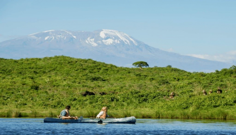 Random image number 4 showcasing tanzania safari image gallery placeholder