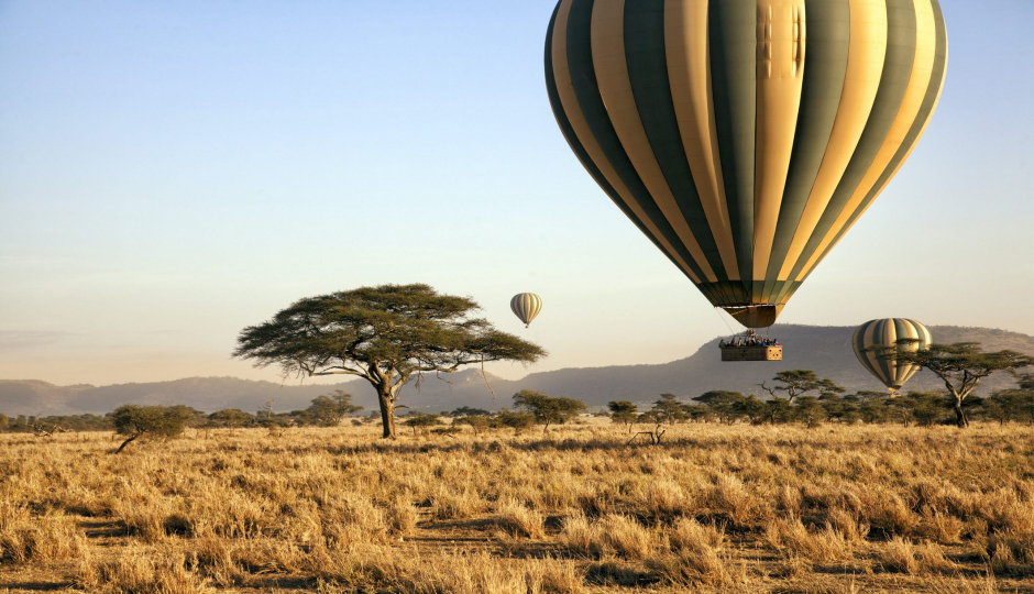 Actual image number 9 for slideshow images, displaying 29 tanzania safari images