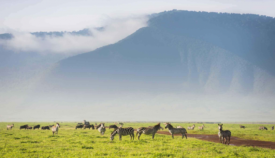 Actual image number 12 for slideshow images, displaying 32 tanzania safari images