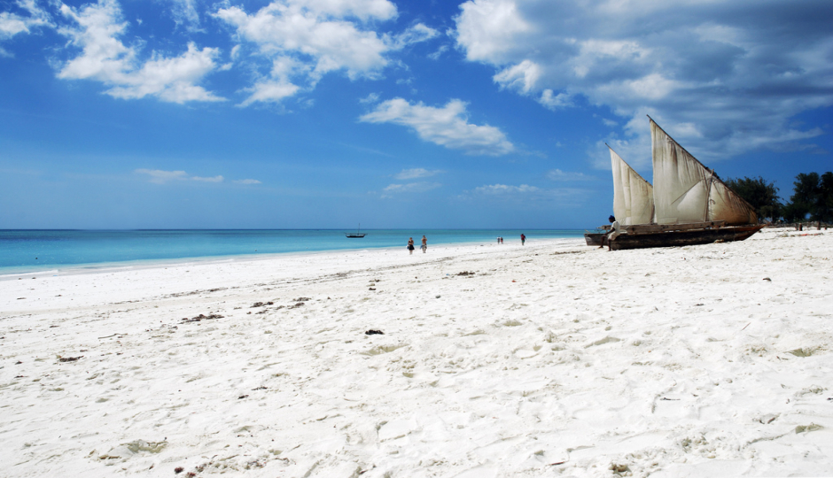 Random image number 2 showcasing tanzania safari image gallery placeholder