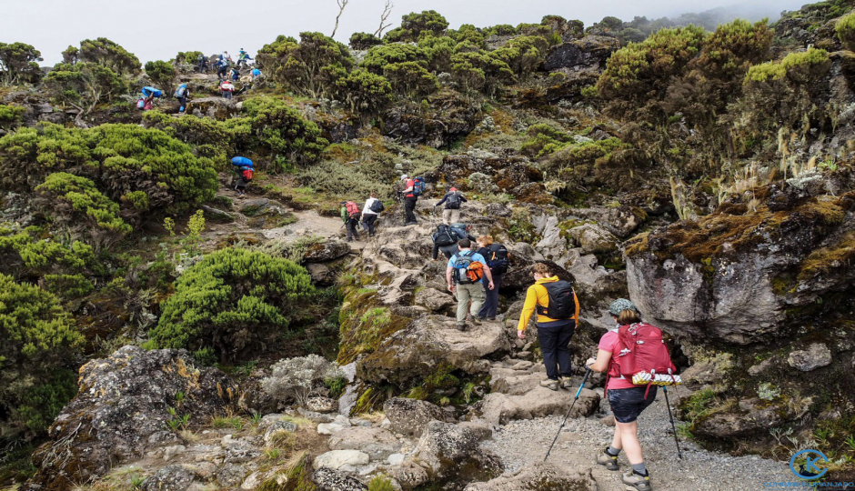 Thumb Nail Image: 5 The Ultimate Adventure - Climbing Kilimanjaro and Safari in Tanzania