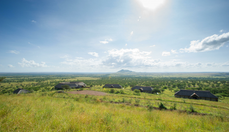 Random image number 6 showcasing tanzania safari image gallery placeholder