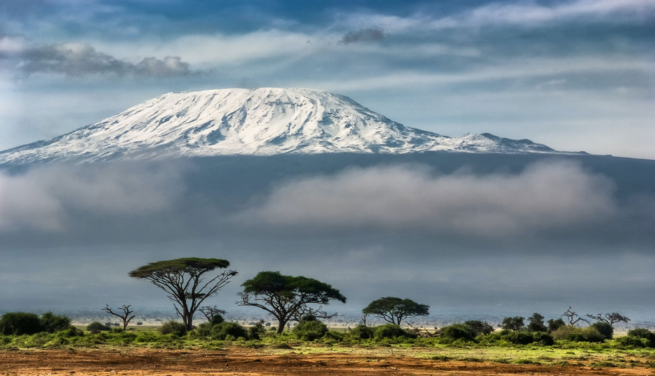 Actual image number 2 for slideshow images, displaying 22 tanzania safari images