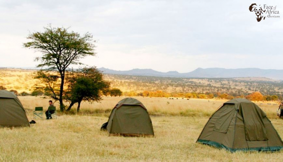 Actual image number 14 for slideshow images, displaying 34 tanzania safari images