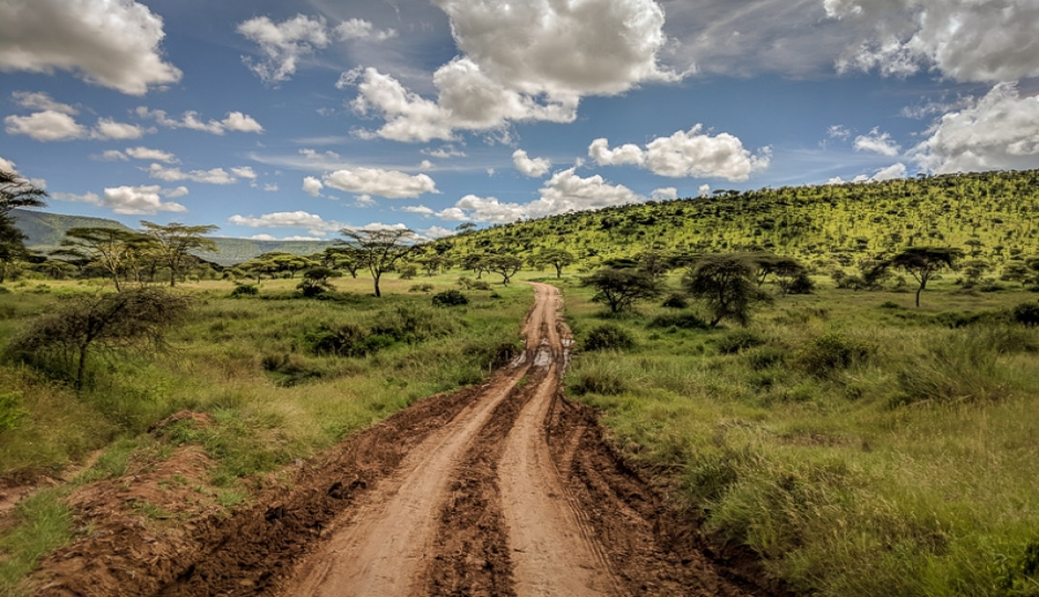 Actual image number 13 for slideshow images, displaying 33 tanzania safari images