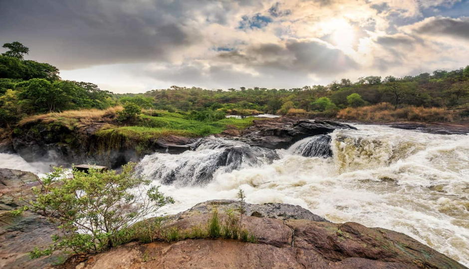 Random image number 5 showcasing tanzania safari image gallery placeholder