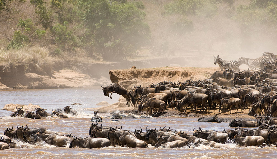 Actual image number 3 for slideshow images, displaying 23 tanzania safari images