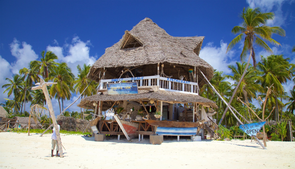 Random image number 2 showcasing tanzania safari image gallery placeholder