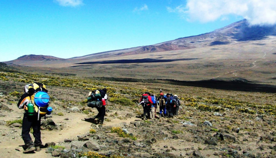 Random image number 6 showcasing tanzania safari image gallery placeholder