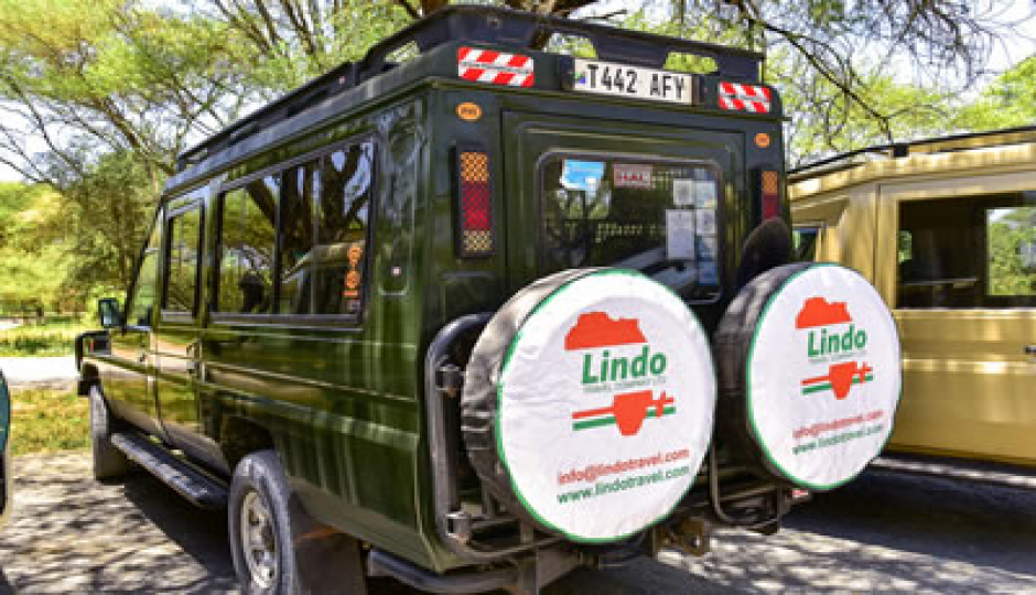 Random image number 6 showcasing tanzania safari image gallery placeholder