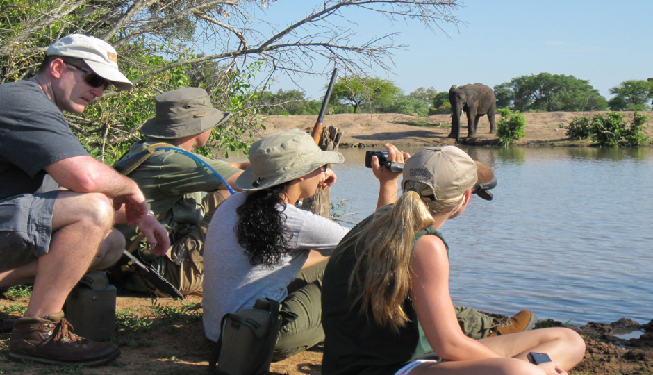 Actual image number 3 for slideshow images, displaying 23 tanzania safari images