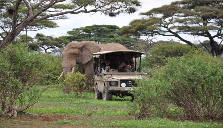 Random image number 2 showcasing tanzania safari image gallery placeholder
