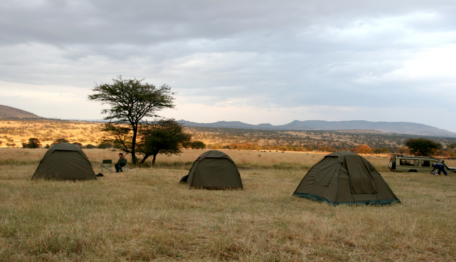 Random image number 2 showcasing tanzania safari image gallery placeholder