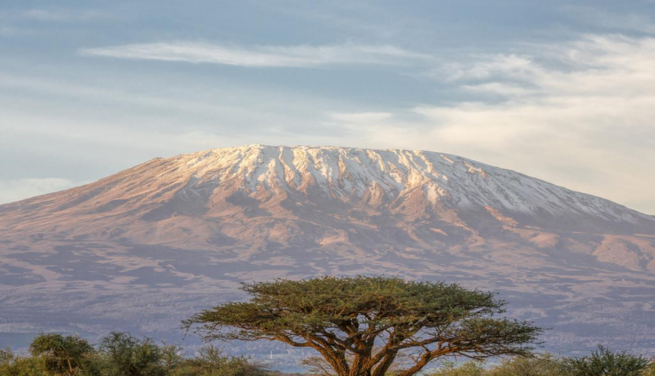 Actual image number 10 for slideshow images, displaying 30 tanzania safari images