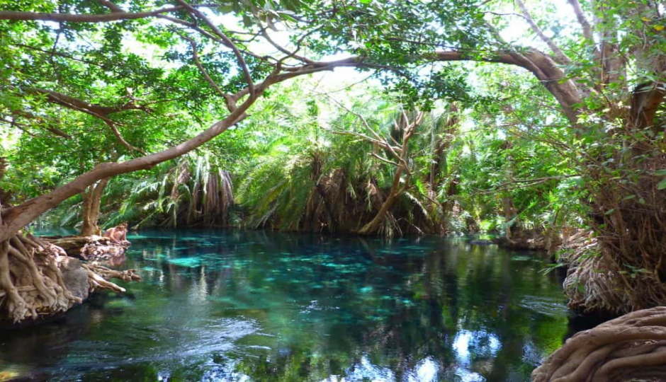 Thumb Nail Image: 3 Discover the Best Day Trips in Tanzania: A Journey into Nature and Culture