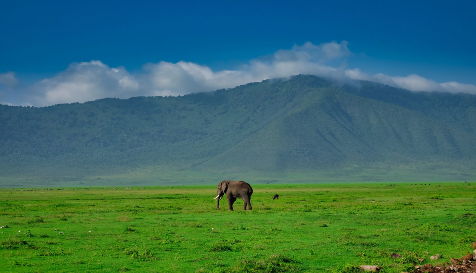 8 Days Best Tanzania Safari in Arusha