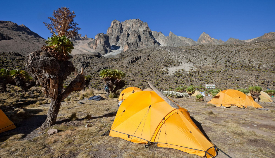 Image for Mount Kenya National Park