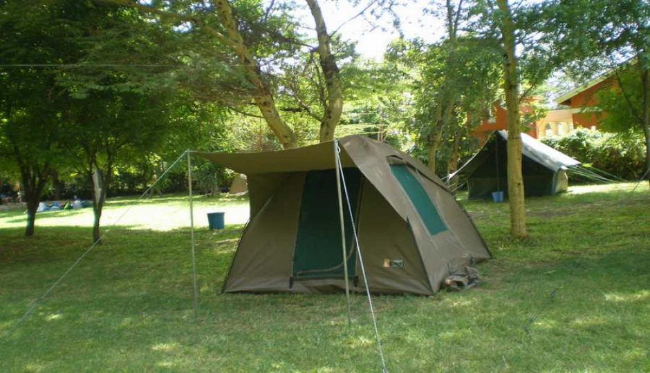 Actual image number 2 for slideshow images, displaying 22 tanzania safari images