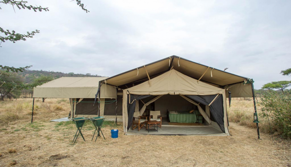 Actual image number 11 for slideshow images, displaying 31 tanzania safari images