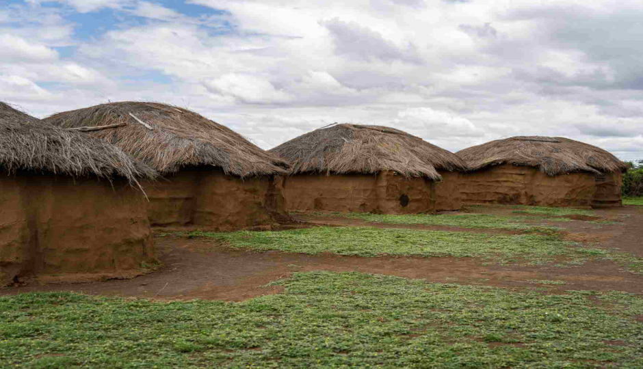 Random image number 5 showcasing tanzania safari image gallery placeholder