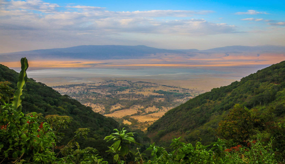 Random image number 2 showcasing tanzania safari image gallery placeholder