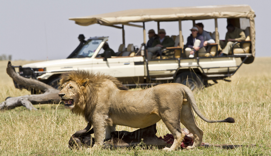 Actual image number 14 for slideshow images, displaying 34 tanzania safari images
