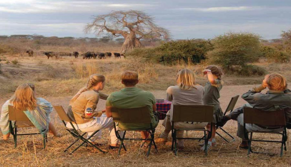Actual image number 5 for slideshow images, displaying 25 tanzania safari images