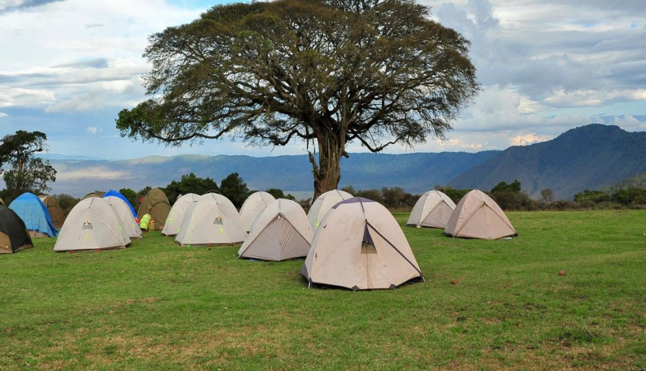 Actual image number 14 for slideshow images, displaying 34 tanzania safari images