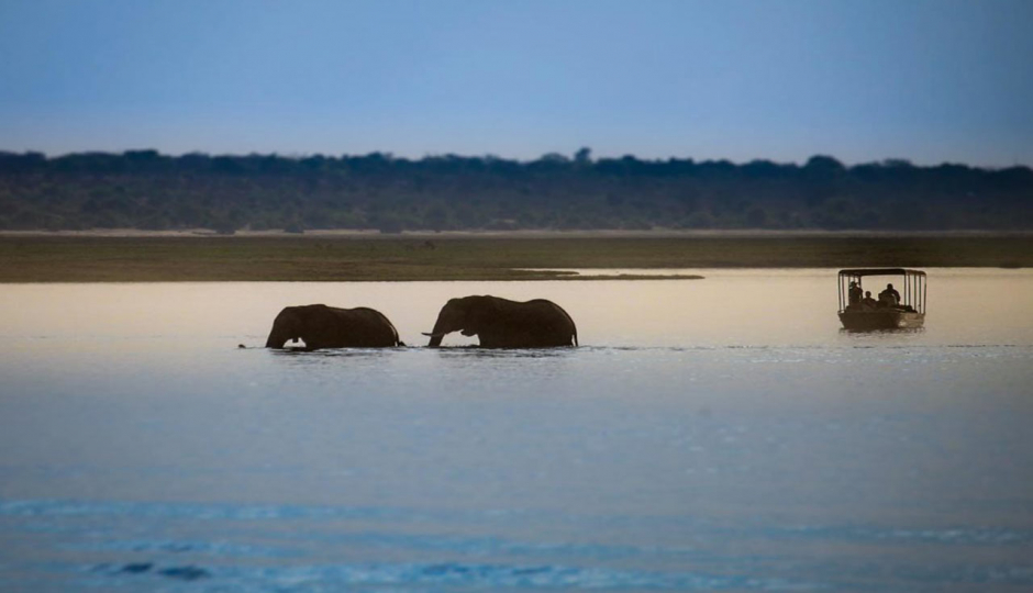 Actual image number 3 for slideshow images, displaying 23 tanzania safari images